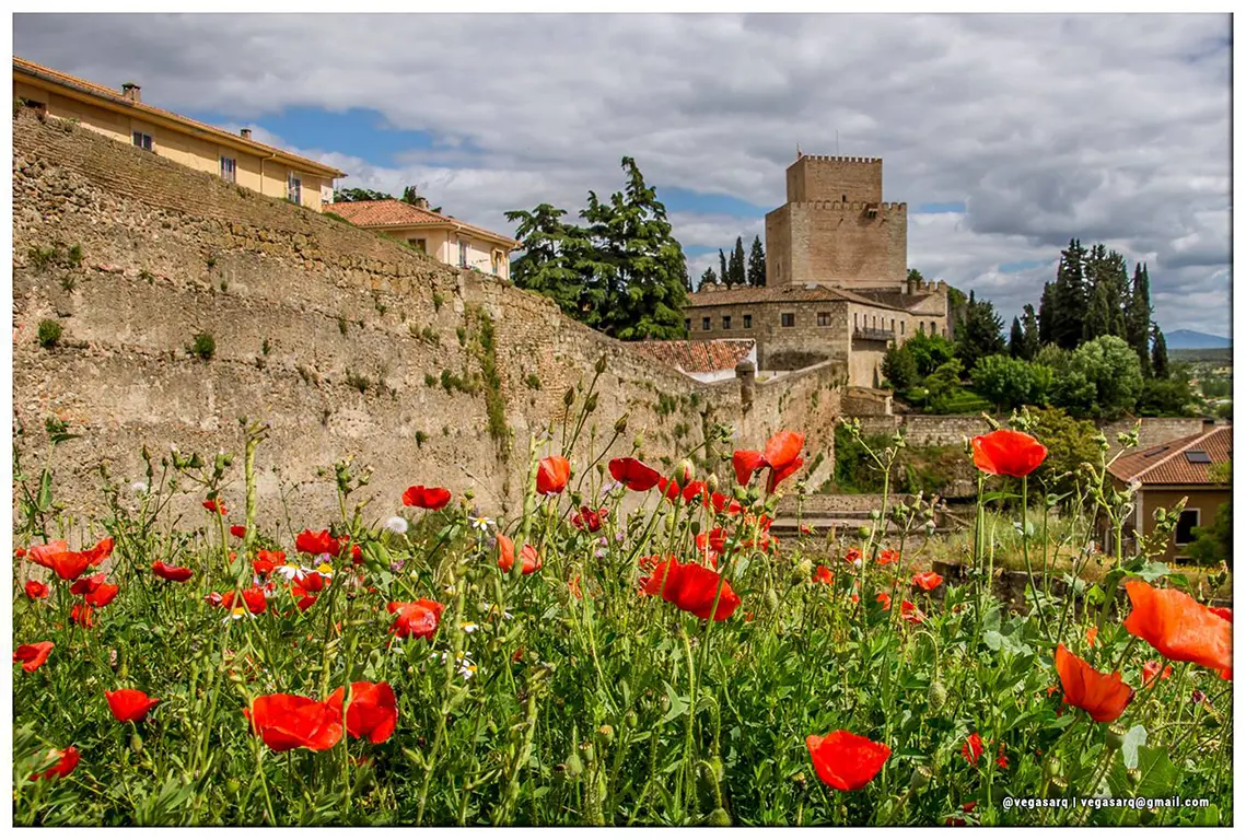 Imagen de Ciudad Rodrigo